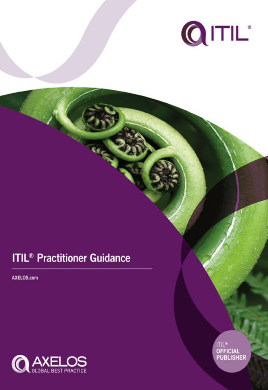 ITIL® Practitioner Guidance on E-Book.business