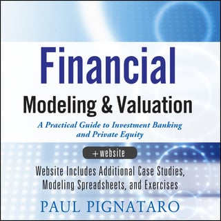 Financial Modeling and Valuation book